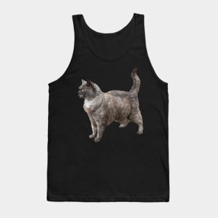 Selkirk Rex Cat Tank Top